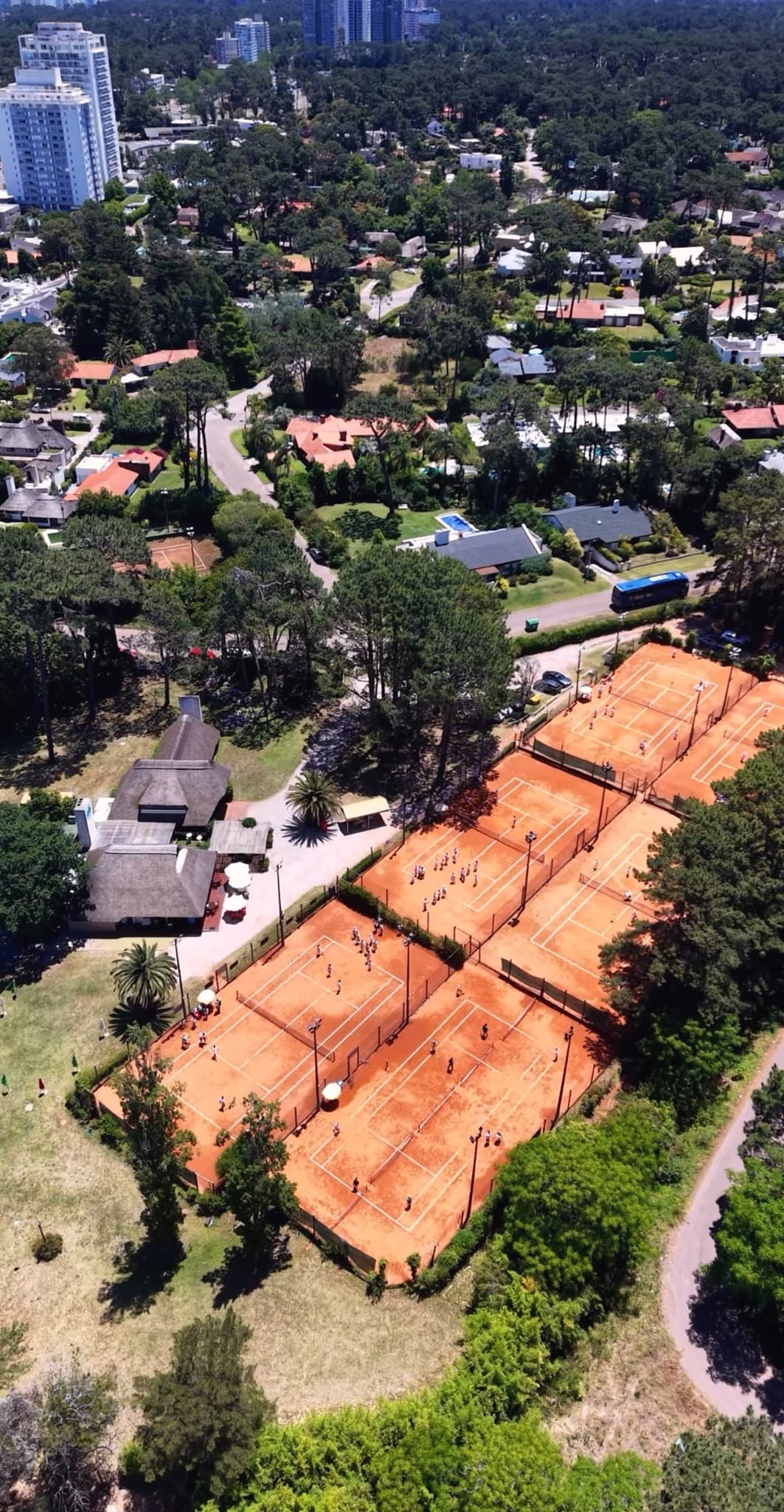 Vista aérea diagonal de las canchas