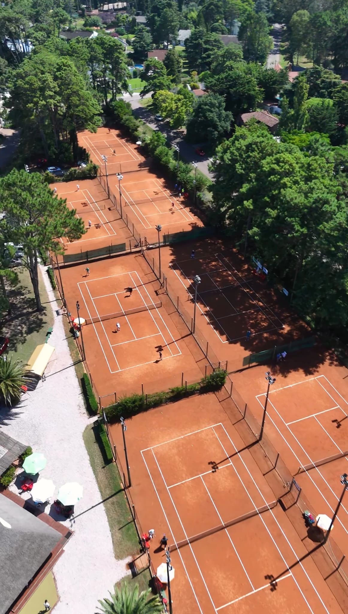 Vista aérea de las canchas entre árboles